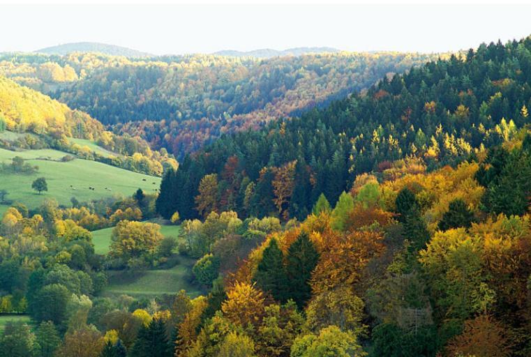 Hummelcasa Ferienhaus Bayreuth Pittersdorf Dış mekan fotoğraf